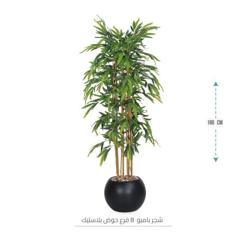 شجر بامبو كبير (8 فروع) بمركن بلاستيك لون أسود