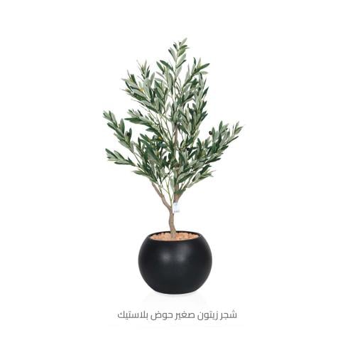 شجر زيتون صغير حوض بلاستيك لون أسود *أوتلت