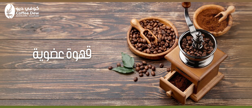 قهوة عضوية: ما هي ولماذا تختارها؟: فوائد القهوة العضوية وأهميتها.
