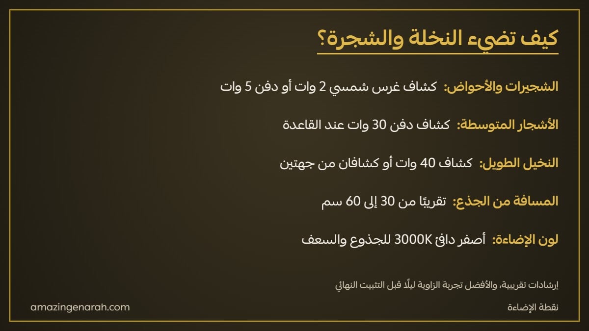 طريقة إضاءة النخيل والأشجار في الحديقة وعدد الكشافات والقدرة