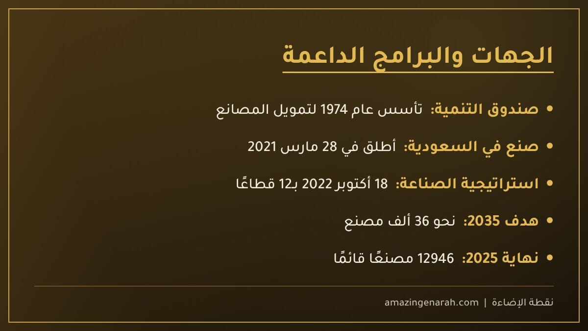 برامج دعم الصناعة الوطنية