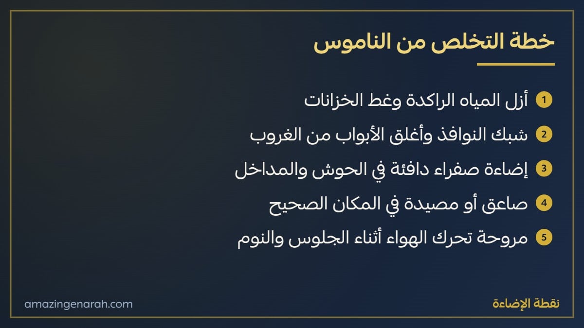 خطة التخلص من الناموس في البيت