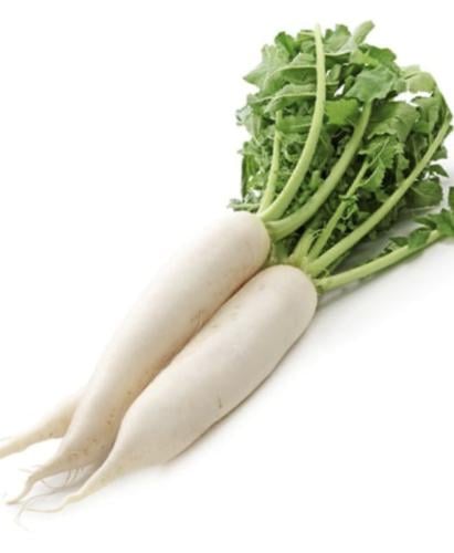 فجل ابيض 20 جم