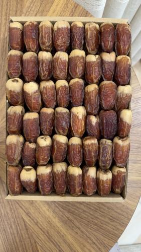 تمر صقعي مطوق ( 2 كيلو )