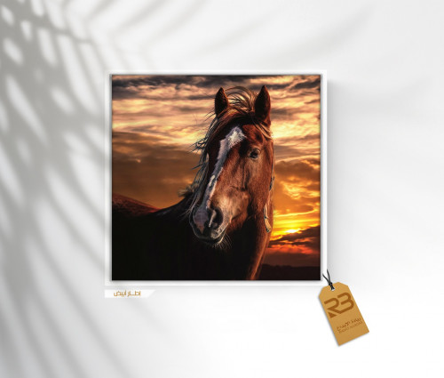 لوحة جدارية تصميم خيل (رقم المنتج RB-7-7)
