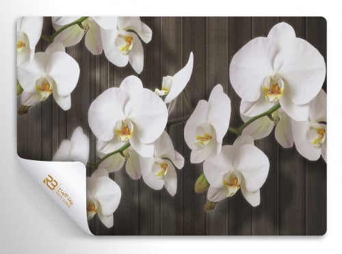 ورق جدران تصميم زهور بيضاء (رقم المنتج RB-E48)