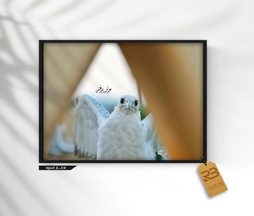 لوحة جدارية صقر طائر (رقم المنتج RB-23-6 )