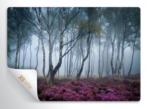 ورق جدران تصميم شجر (رقم المنتج RB-K-50)