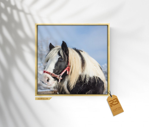 لوحة جدارية تصميم خيل (رقم المنتج RB-7-63)