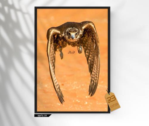 لوحة جدارية صقر طائر (رقم المنتج RB-23-3 )
