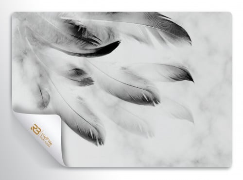 ورق جدران تصميم ريش (رقم المنتج RB-F19)