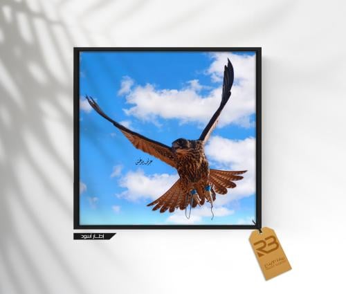 لوحة جدارية صقر طائر (رقم المنتج RB-23-4 )