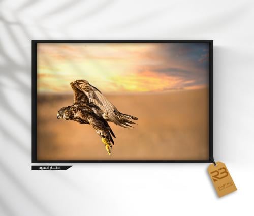 لوحة جدارية تصميم صقر (رقم المنتج RB-22-18 )
