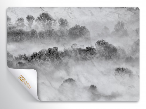 ورق جدران تصميم شجر (رقم المنتج RB-L-29)