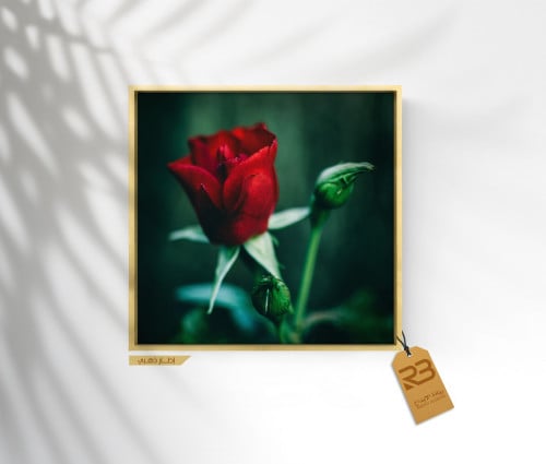 لوحة جدارية تصميم ورد (رقم المنتج RB-8-14)