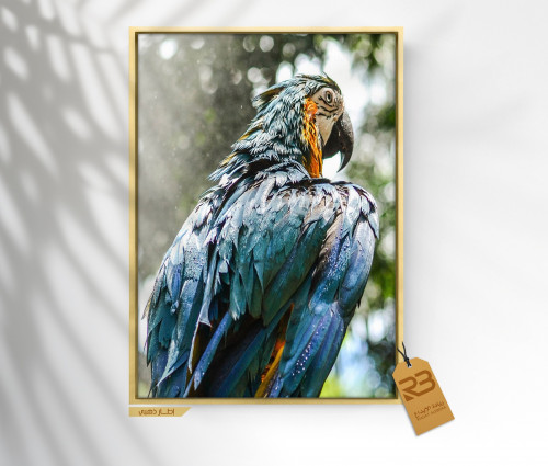 لوحة جدارية تصميم بغبغاء (رقم المنتج RB-8-18 )