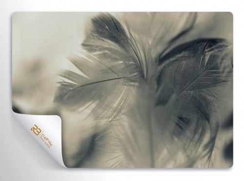 ورق جدران تصميم ريش (رقم المنتج RB-84)