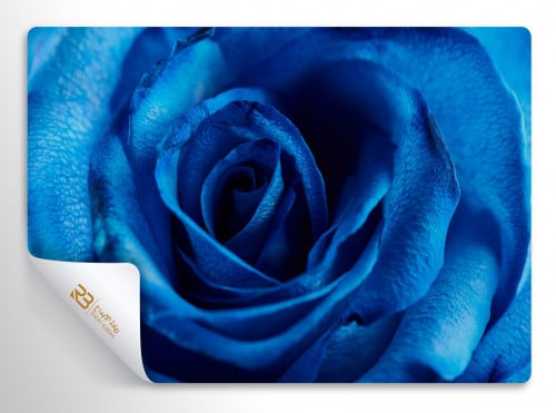 ورق جدران تصميم ورد (رقم المنتج RB-L-39)