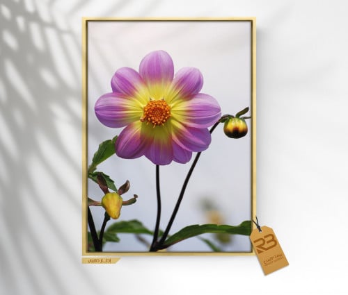 لوحة جدارية تصميم ورد (رقم المنتج RB-7-68 )