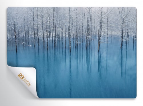 Cottage Design Wallpaper (Article No. RB-G7)