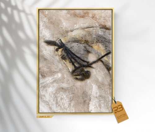 لوحة جدارية تصميم خيل أبيض (رقم المنتج RB-17)