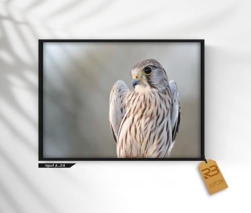 لوحة جدارية تصميم  (رقم المنتج RB-22-44 )