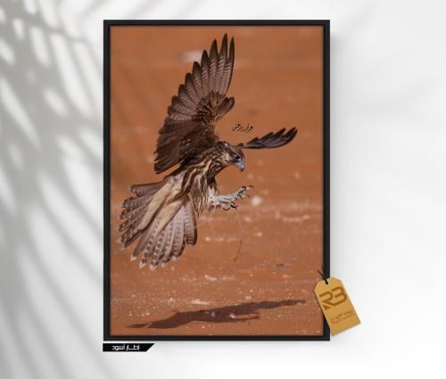 لوحة جدارية صقر طائر (رقم المنتج RB-23-2 )