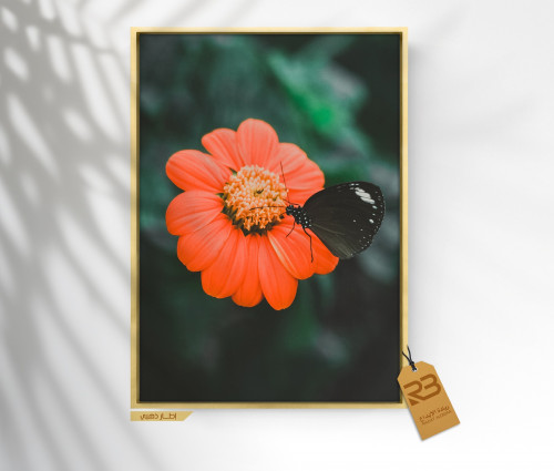 لوحة جدارية تصميم ورد (رقم المنتج RB-8-30 )