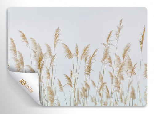 ورق جدران تصميم سنابل قمح (رقم المنتج RB-W-34)