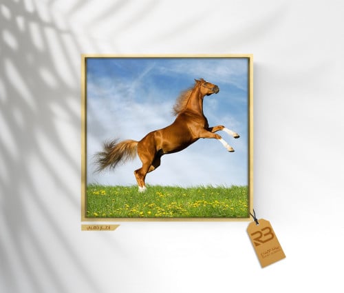لوحة جدارية تصميم خيل (رقم المنتج RB-9-9)