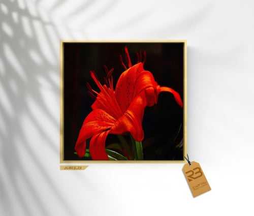 لوحة جدارية تصميم ورد (رقم المنتج RB-9-43)