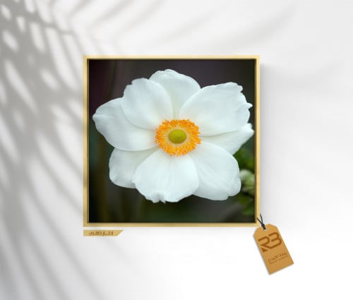 لوحة جدارية تصميم ورد (رقم المنتج RB-7-44)