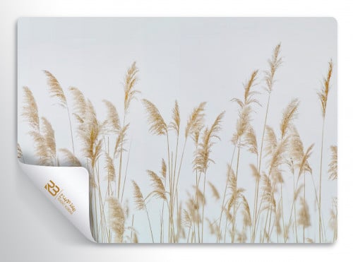 ورق جدران تصميم مودرن (رقم المنتج RB-F4)