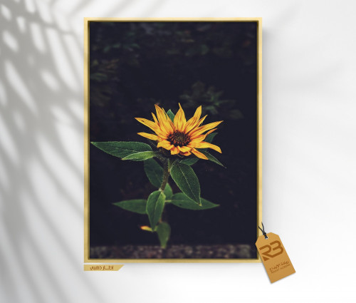 لوحة جدارية تصميم ورد (رقم المنتج RB-10-13 )