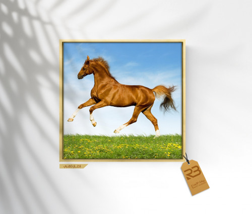 لوحة جدارية تصميم خيل (رقم المنتج RB-8-24)