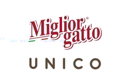Miglior gatto