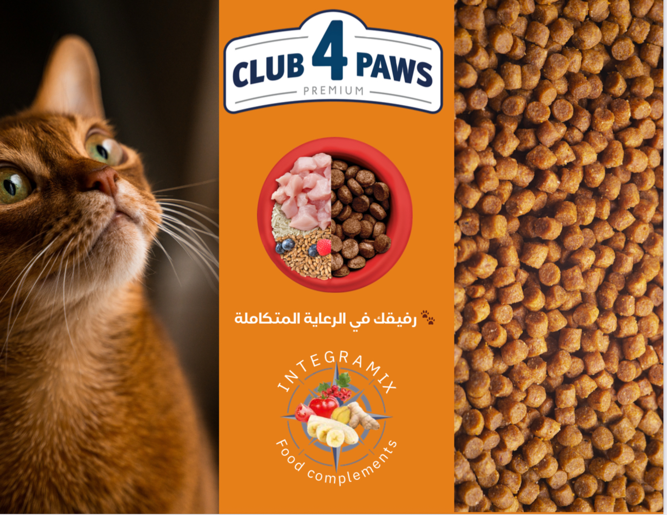 كلوب 4 باوز CLUB 4 PAWS
