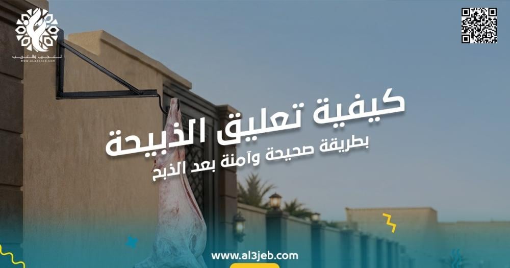 كيفية تعليق الذبيحة بطريقة صحيحة وآمنة
