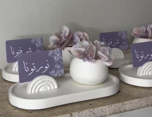 طقم ضيافه