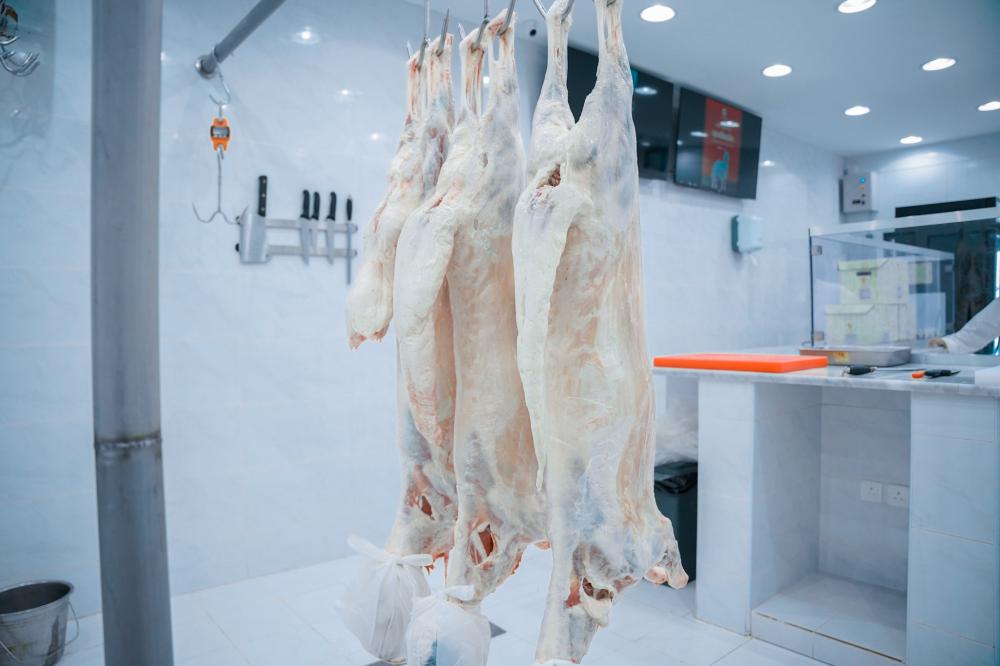 أفضل خروف للذبح في السعودية - دليل السلالات ومعايير الجودة