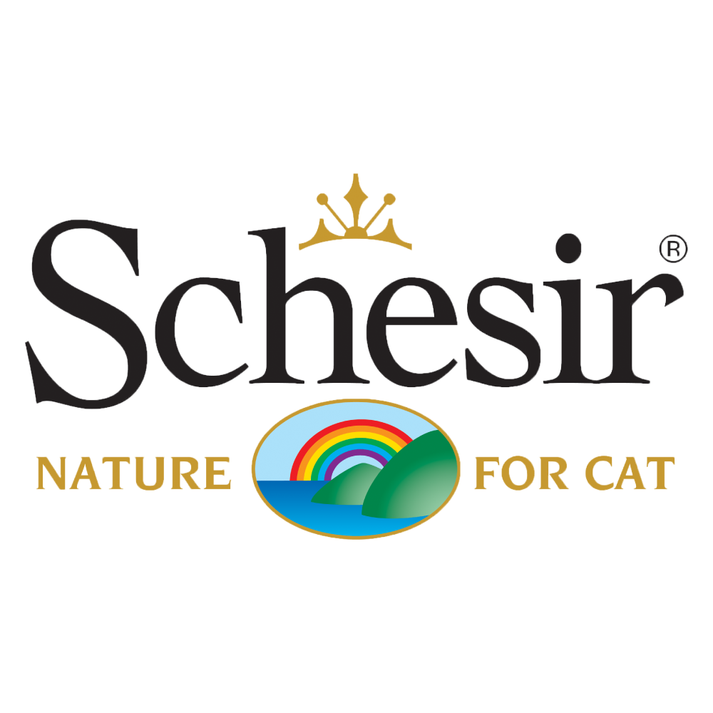 Schesir