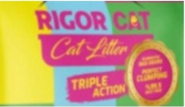 Rigor