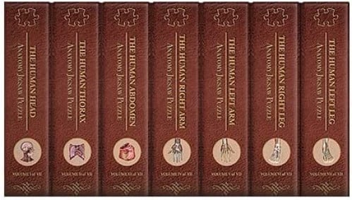 Jigsaw Puzzle Dr. Livingston's Anatomy - The Human Full Body Set