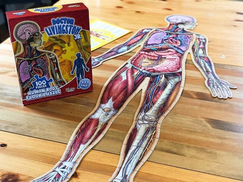 Jigsaw Puzzle: Dr. Livingston Jr. - Human Body Floor Puzzle (100 Pieces
