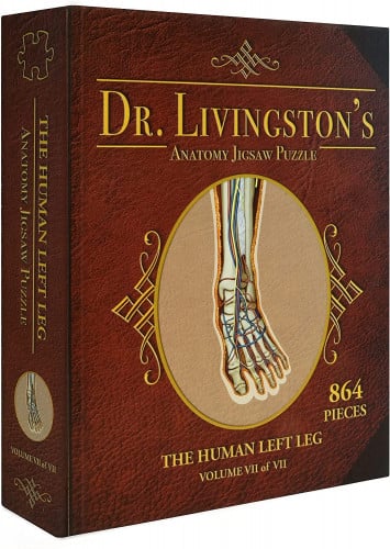 Jigsaw Puzzle Dr. Livingston's Anatomy - The Left Leg (864 Pieces