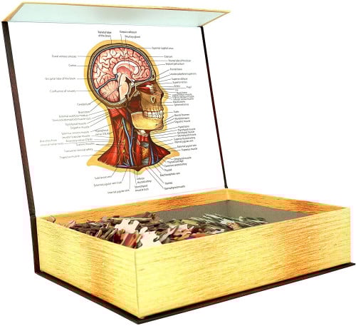Jigsaw Puzzle Dr. Livingston's Anatomy - The Human Head (538 Pieces)
