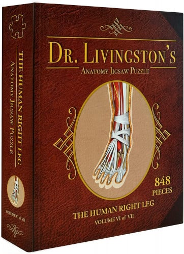 Jigsaw Puzzle Dr. Livingston's Anatomy - The Right Leg (848 Pieces)
