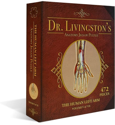 Jigsaw Puzzle Dr. Livingston's Anatomy - The Human Left Arm (472 Pieces)