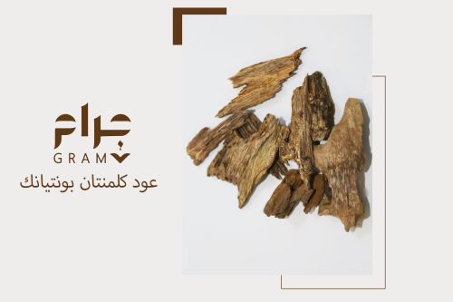 عود كلمنتان بونتيانك