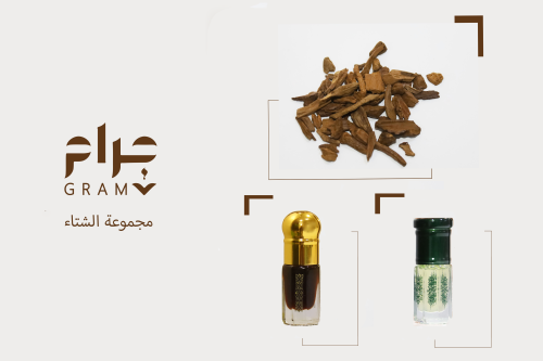 مجموعة الشتاء